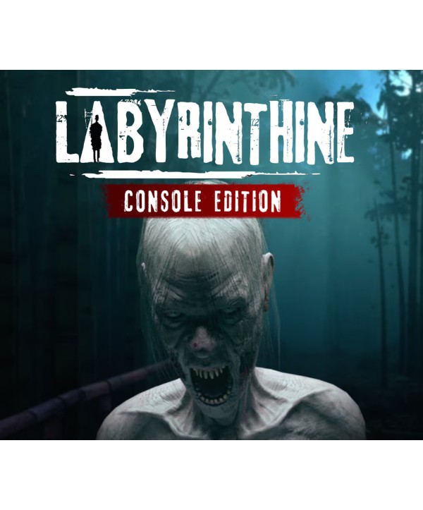 Labyrinthine Console Edition PS5 PlayStation 5 Key EUROPE